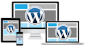 do any kind of wordpress and PHP customization