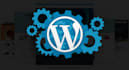 develop wordpress website design