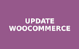 update woocommerce to latest version without site damage