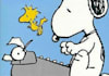 write about anything
