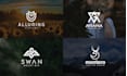 do a professional modern minimalist and luxury logo for your business