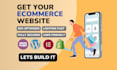 build a professional wordpress woocommerce ecommerce website