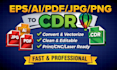 vector file or logo to cdr