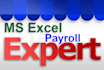 prepare ms excel payroll