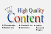 write 2x500 quality, result driven website content