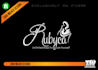 create a stylish signature logo