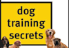 teach you 1000 dog training tips