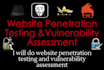 do penetration or security testing of your website