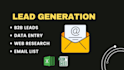 do website scraping, data mining, data entry and lead generation