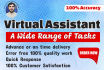 elevate your business with my virtual assistant expertise