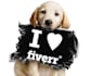 put your Logo with cute Dog