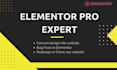be elementor pro expert, redesign, clone and fix wordpress bugs