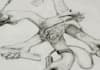 draw tattoo sketch