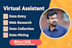do data entry, web scraping, excel, typing, copy paste work