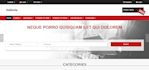 provide ready made classified website