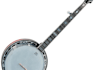 write you a redneck banjo song