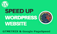 do premium speed optimization for your wordpress site