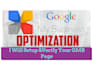 setup,verify and optimize your google my business page