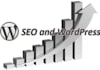 perform OnSite SEO In Your WordPress Blog For High Rankings