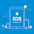 be your expert ios developer providing native app development services