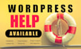 give you wordpress help and fix website errors quickly