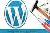 install wordpress or customize your wordpress website or fix issues