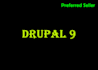 install drupal with theme in 30 minutes