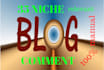 do 35 niches relevant blog comment