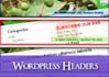 create a nice wordpress header design