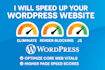 optimize wordpress website speed and improve pagespeed score