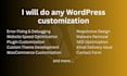 do any wordpress customization and fix wp issue