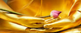 shamanic healing soul retreival power