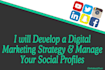 develop a digital marketing strategy and action plan