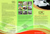 design attractive corporate brochure