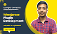 develop custom wordpress plugin