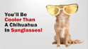 create a customized energetic promo video