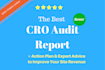 do deep CRO audit to identify conversion leakages