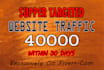 promote and drive 40k super targeted website traffic