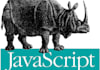 give a 1 hour javascript programming lesson to beginners