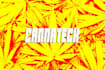 set up your cannabis website and domain