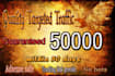 drive 50k usa niche targeted,visitors website,traffic