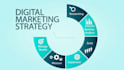 do a great market strategy and research