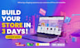 build professional and modern e commerce store
