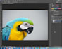 make watermark on your images