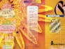 do 2 professionalsflyers and posters in 24 hours