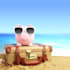 write you 400 travel guide material for your destination