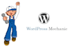 fix wp bug css issue wordpress php error design problem fast