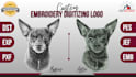 do professional embroidery digitizing in hours
