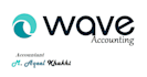 provide wave accounting waveapps bookkeeping services
