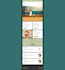 design editable responsive mailchimp template